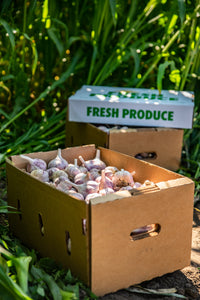 Garlic Box (30lb)