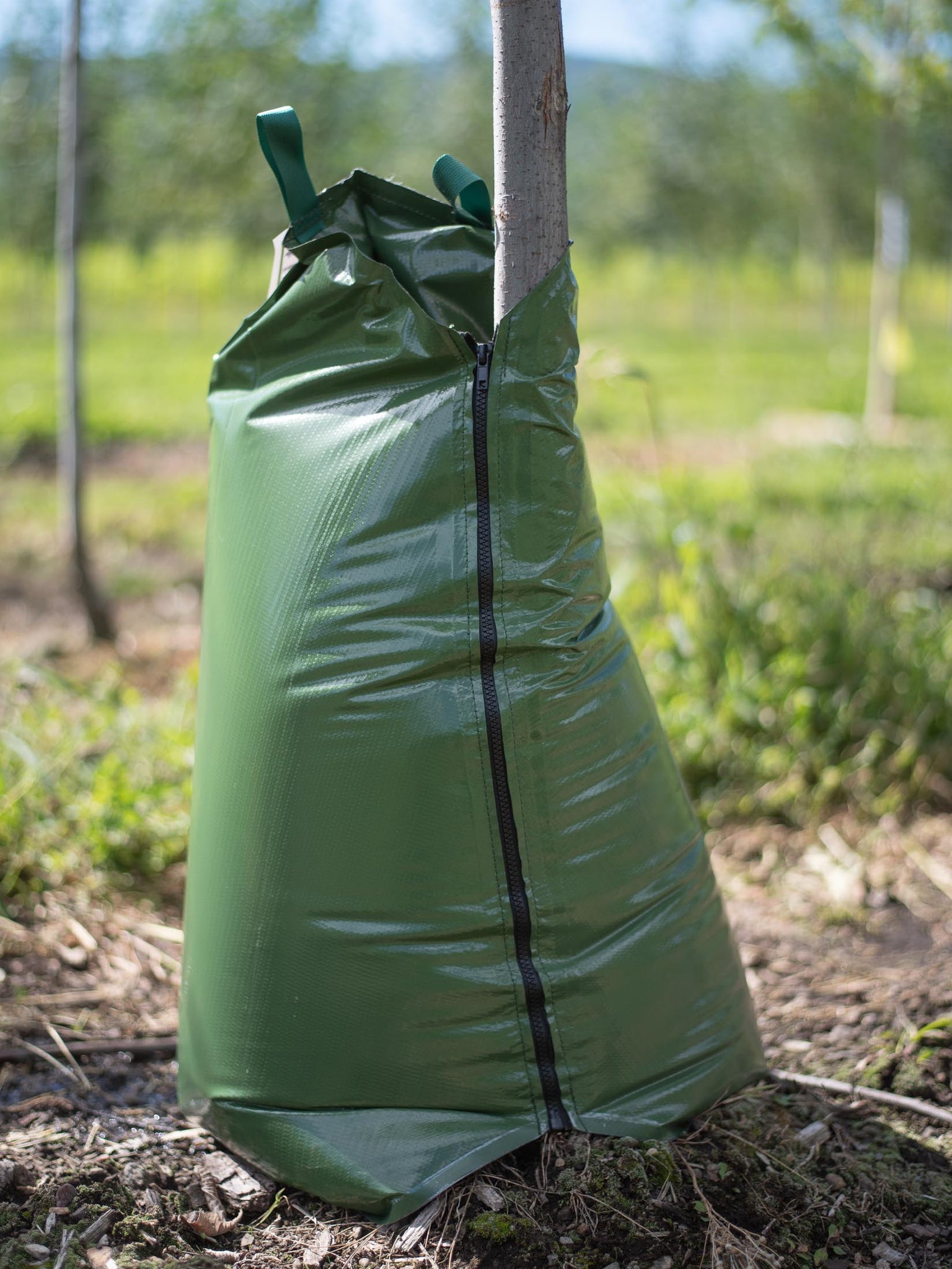 Treegator Original Watering Bag For Trees - Iowa Worm Composting